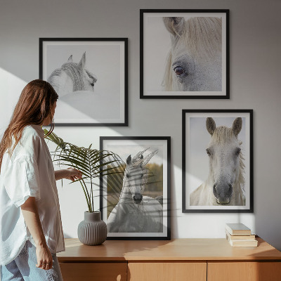 Composizione di 4 quadri cavalli bianchi