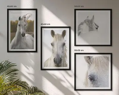 Composizione di 4 quadri con cavalli bianchi