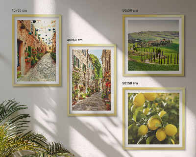 Composizione di 4 quadri Incantevoli strade fiancheggiate da limoni in fiore