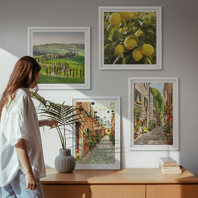 Composizione di 4 quadri Incantevoli strade fiancheggiate da limoni in fiore