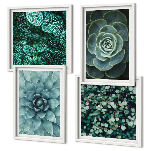 Composizione di 4 quadri Piante succulente verdi e turchesi