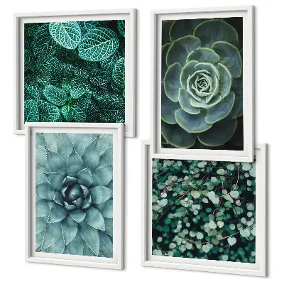 Composizione di 4 quadri con piante succulente verdi e turchesi