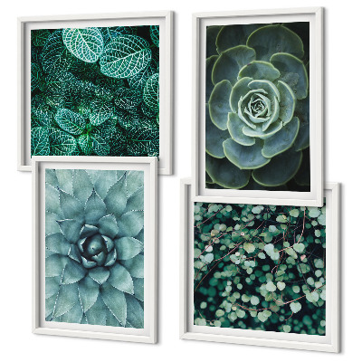 Composizione di 4 quadri Piante succulente verdi e turchesi