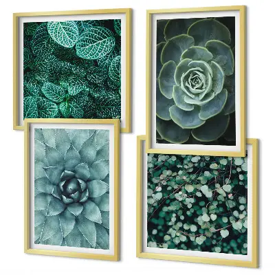 Composizione di 4 quadri con piante succulente verdi e turchesi