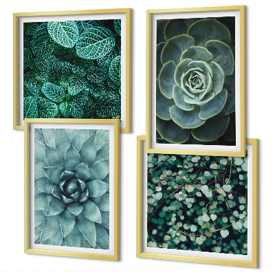 Composizione di 4 quadri Piante succulente verdi e turchesi