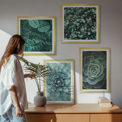 Composizione di 4 quadri Piante succulente verdi e turchesi