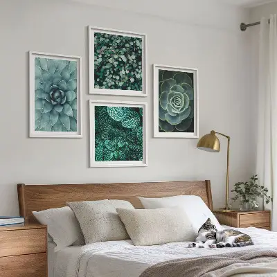 Composizione di 4 quadri con piante succulente verdi e turchesi