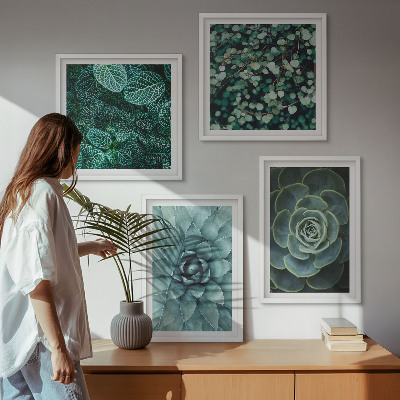 Composizione di 4 quadri Piante succulente verdi e turchesi