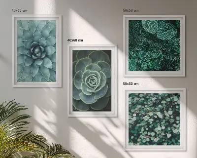 Composizione di 4 quadri con piante succulente verdi e turchesi