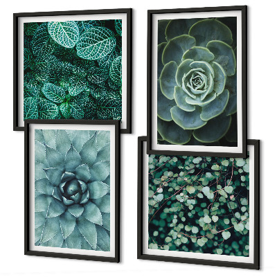 Composizione di 4 quadri Piante succulente verdi e turchesi
