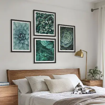 Composizione di 4 quadri con piante succulente verdi e turchesi