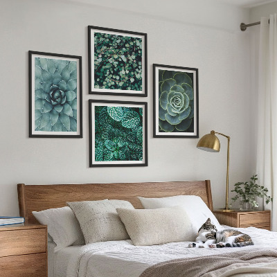 Composizione di 4 quadri Piante succulente verdi e turchesi
