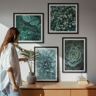 Composizione di 4 quadri Piante succulente verdi e turchesi