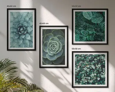 Composizione di 4 quadri con piante succulente verdi e turchesi