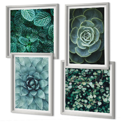 Composizione di 4 quadri Piante succulente verdi e turchesi