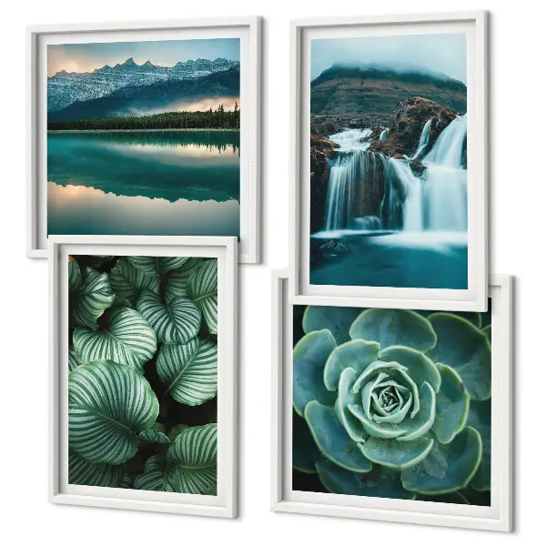 Polittico con cornice con primi piani di foglie di piante succulente
