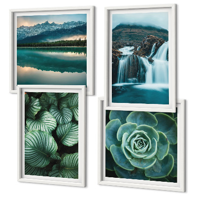 Polittico con cornice Primi piani di foglie di piante succulente