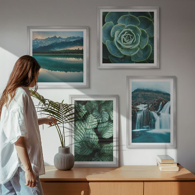 Polittico con cornice Primi piani di foglie di piante succulente