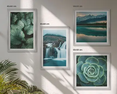 Polittico con cornice con primi piani di foglie di piante succulente