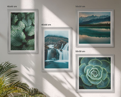 Polittico con cornice Primi piani di foglie di piante succulente