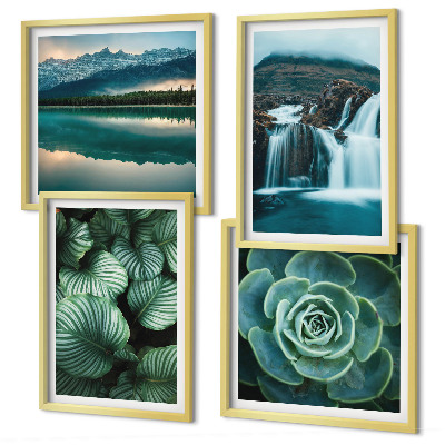 Polittico con cornice Primi piani di foglie di piante succulente
