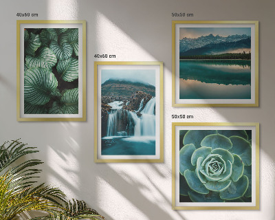 Polittico con cornice Primi piani di foglie di piante succulente