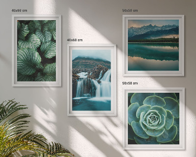 Polittico con cornice Primi piani di foglie di piante succulente