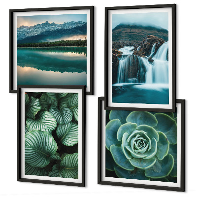Polittico con cornice Primi piani di foglie di piante succulente