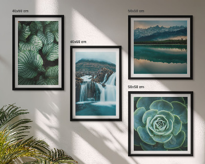 Polittico con cornice Primi piani di foglie di piante succulente