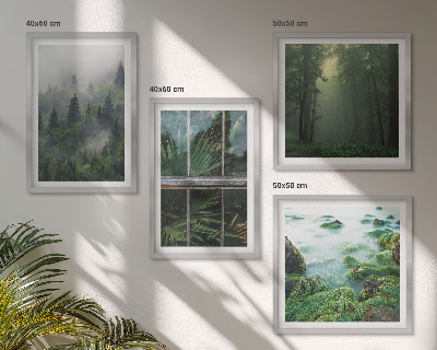 Galleria a parete Nebbia forestale fiume serra piante
