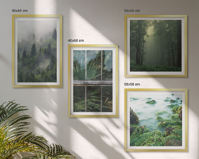 Galleria a parete Nebbia forestale fiume serra piante