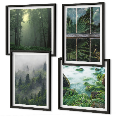 Galleria a parete Nebbia forestale fiume serra piante