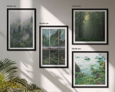 Galleria a parete Nebbia forestale fiume serra piante
