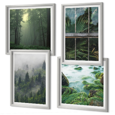 Galleria a parete Nebbia forestale fiume serra piante