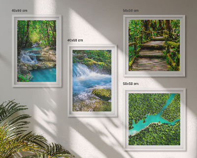 Composizione di 4 quadri Foreste verdi, acque cristalline