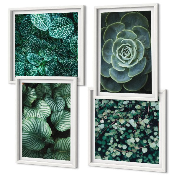 Polittico con cornice Foglie verdi di succulente eleganti