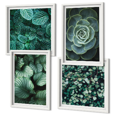 Polittico con cornice Foglie verdi di succulente eleganti