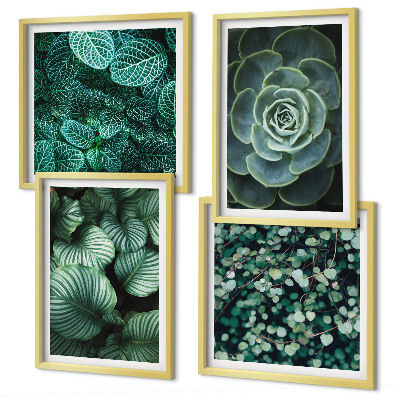 Polittico con cornice Foglie verdi di succulente eleganti