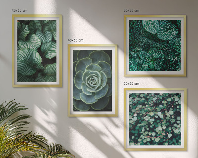 Polittico con cornice Foglie verdi di succulente eleganti