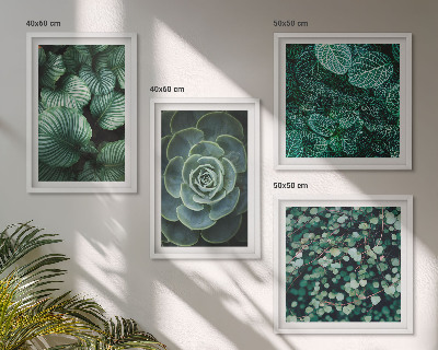 Polittico con cornice Foglie verdi di succulente eleganti