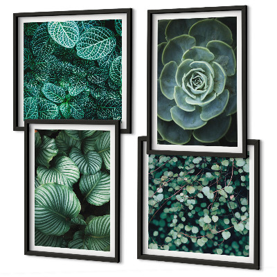 Polittico con cornice Foglie verdi di succulente eleganti