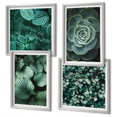 Polittico con cornice Foglie verdi di succulente eleganti