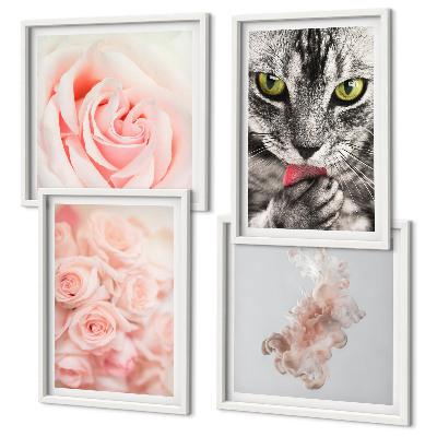 Composizione di 4 quadri Rose astratte di gatto grigio