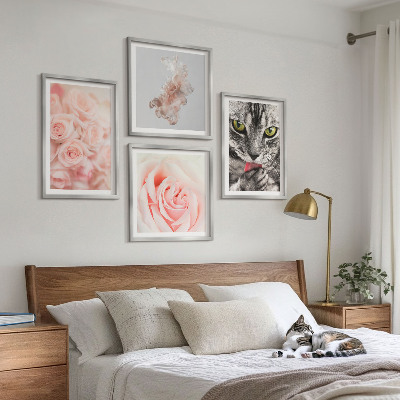 Composizione di 4 quadri Rose astratte di gatto grigio