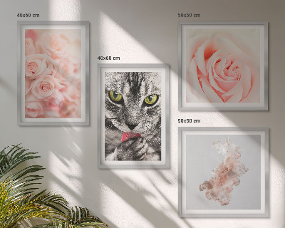 Composizione di 4 quadri Rose astratte di gatto grigio