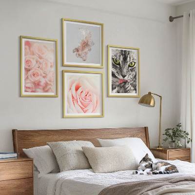 Composizione di 4 quadri Rose astratte di gatto grigio
