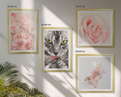 Composizione di 4 quadri Rose astratte di gatto grigio