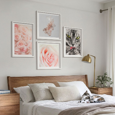 Composizione di 4 quadri Rose astratte di gatto grigio