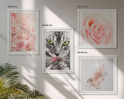 Composizione di 4 quadri Rose astratte di gatto grigio
