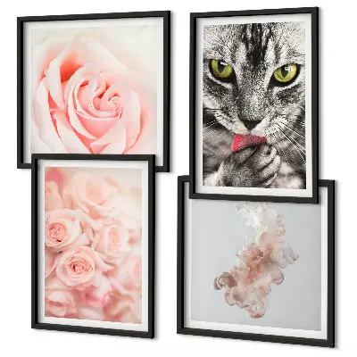 Set di 4 quadri con rose astratte di gatto grigio